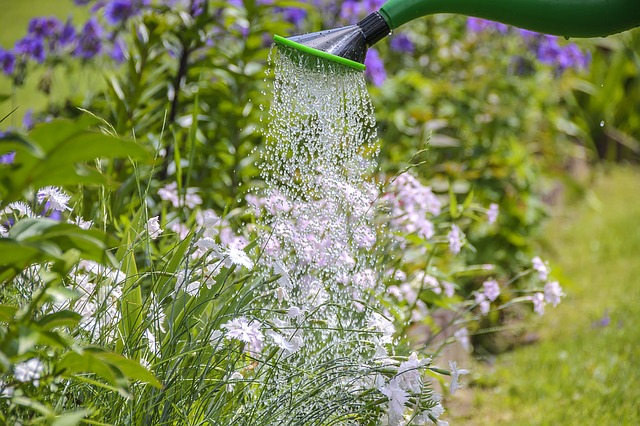 evitare sprechi di acqua in giardino