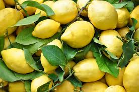 raccolto dei limoni