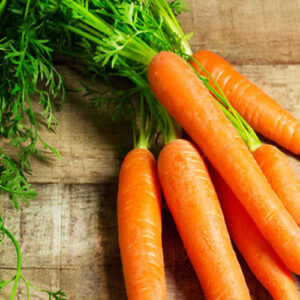 gruppo di carote - le guide di come fare orto