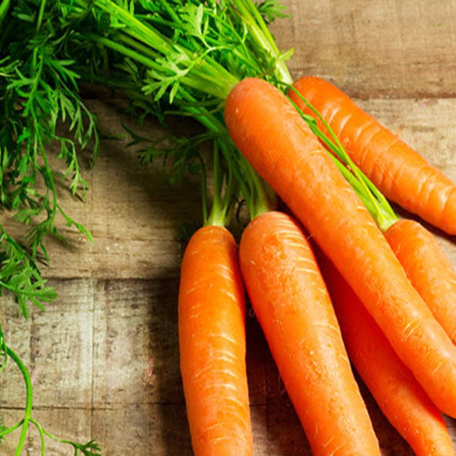 gruppo di carote - le guide di come fare orto