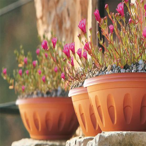 vasi con fiori rosa - la guida di come fare orto
