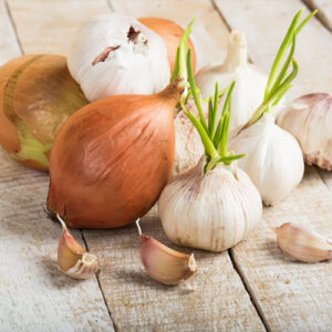 cipolla e aglio in spicchi - ortaggi e legumi