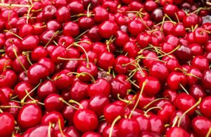 coltivare ciliegie dolci il ciliegio